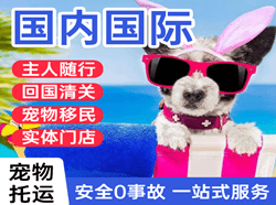 包头机场托运国际宠物托运 【国